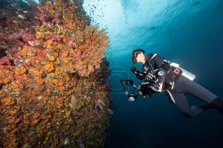 Photo for Male Scuba diver with camera looking at colorful soft coral reef and Gorgonian Sea Fan coral at Richelieu Rock, a famous scuba diving dive site and stunning underwater landscape in Thailand. - Royalty Free Image