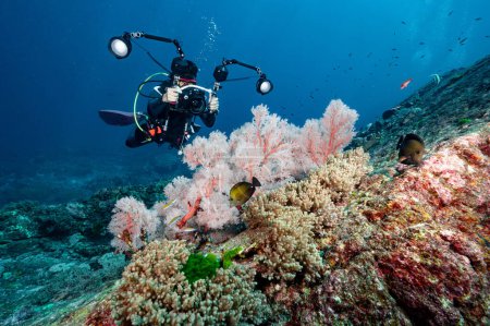 Photo for Male Scuba diver with camera taking a photo of Pink Gorgonian Sea Fan coral at North Andaman, a famous scuba diving dive site and stunning underwater landscape in Thailand. - Royalty Free Image