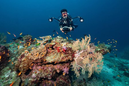 Photo for Male scuba diver with camera taking a photo with beautiful coral reef and marine life at North Andaman, a famous scuba diving dive site and stunning underwater landscape in Thailand. - Royalty Free Image