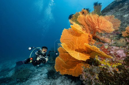 Photo for Male scuba diver with camera taking a photo with Gorgonian Sea Fan coral at North Andaman, a famous scuba diving dive site and stunning underwater landscape in Thailand. - Royalty Free Image