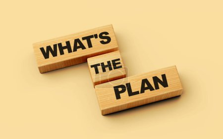 What's The Plan text on a wooden block with light background 3d illustration
