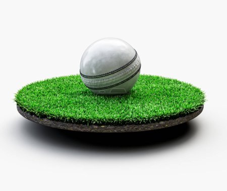 Pelota de cricket ODI cosida de cuero blanco brillante con campo de hierba verde redondeado Ilustración 3D