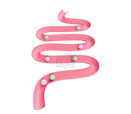 Human Gut Model Digestive System Or Intestinal Tract Mockup With Balls Rolling Down 3D Illustration