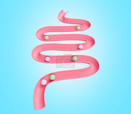 Modèle d'intestin humain Système digestif ou modèle de tractus intestinal avec des boules roulant vers le bas Illustration 3D