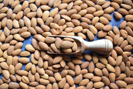 Téléchargez les photos : Raw whole dried almond seed - en image libre de droit