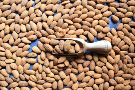 Téléchargez les photos : Raw whole dried almond seed - en image libre de droit