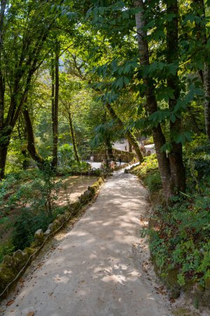Photo for Sintra, Portugal - September 14, 2023. Quinta da Regaleira garden - Royalty Free Image