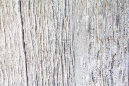 Foto de Textura de madera fondo simple - Imagen libre de derechos