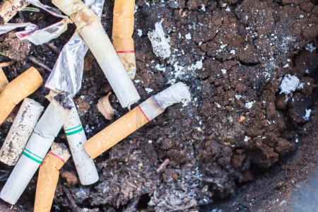 Téléchargez les photos : Cigarette sur le fond du sol - en image libre de droit