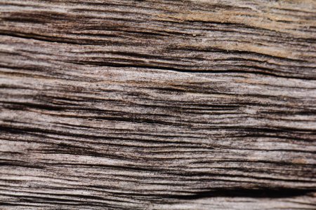 Foto de Tablero de textura de madera antigua con detalles de línea de fondo - Imagen libre de derechos