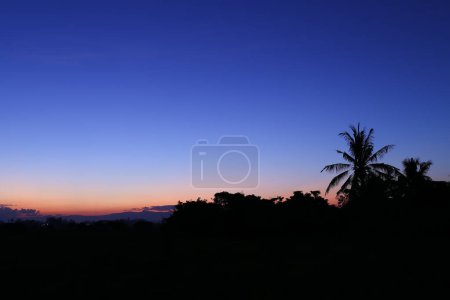 Téléchargez les photos : Belle ligne crépusculaire du ciel du soir lumière du coucher du soleil et silhouette, ombre obscurité cocotier, nature fond abstrait - en image libre de droit