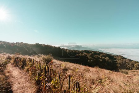 Foto de Hierba amarilla dorada y rutas de senderismo, valles altos con montañas y cielo azul con nubes y niebla al amanecer. En el punto de trekking y ver Kew Mae Pan, aire fresco, naturaleza. Atracciones en Chiang Mai, Tailandia - Imagen libre de derechos