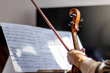 Téléchargez les photos : Violinist portrait. Back of violin. - en image libre de droit
