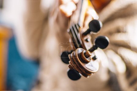 Téléchargez les photos : Side views of classical instruments. Violin close up of hands. - en image libre de droit