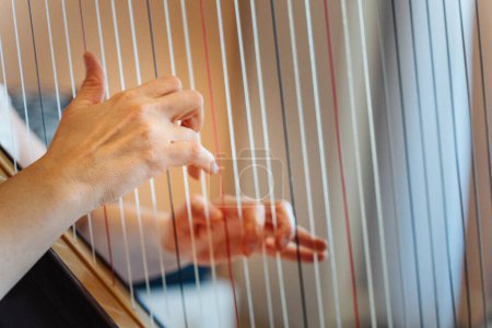 Close up of the hands of woman playing harp