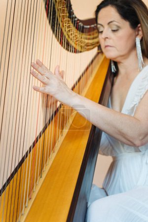 Female musician playing the harp