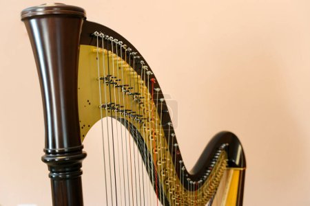 Photo for Traditional harp. Beautiful minority instrument in music. - Royalty Free Image