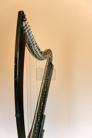 Harpe électronique. L'évolution de l'instrument de musique.