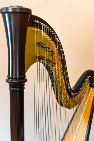 Photo for Traditional harp. The instrument of the gods. - Royalty Free Image