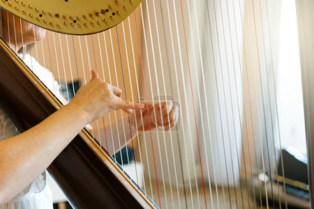 Photo for Hands of a professional harpist playing a traditional harp. - Royalty Free Image