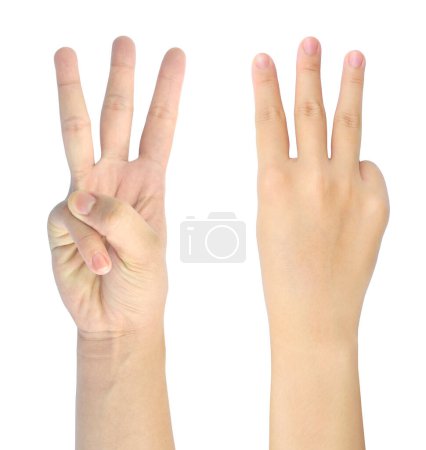 Foto de El símbolo de la mano de la mujer aislado sobre fondo blanco - Imagen libre de derechos