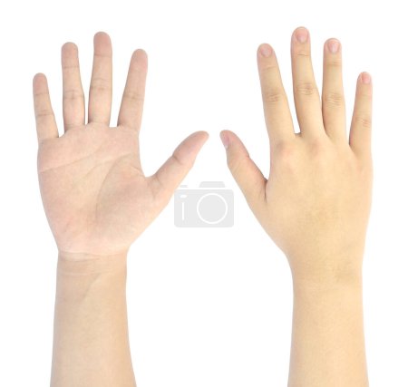 Foto de El símbolo de la mano de la mujer aislado sobre fondo blanco - Imagen libre de derechos