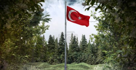 Türkische Flagge, wehende türkische Flagge, Republik Türkei - Istanbul, Trkiye