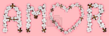 Foto de Word amor from spanish language means love, made of cotton flowers. Concept of organic candid true love. Letter made in shape of heart of cotton bud. Pink background - Imagen libre de derechos