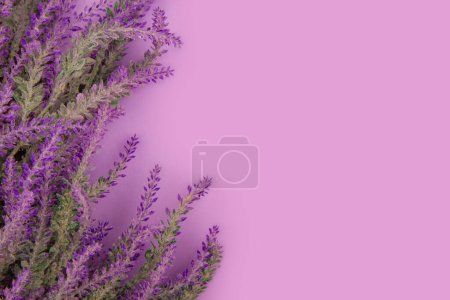 Blühende Lavendelzweige liegen auf einem violetten Tisch