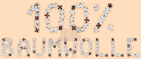 Foto de Letras 100% Baumwolle del idioma alemán significa algodón, hecho de flores de algodón. Concepto de materia prima orgánica. - Imagen libre de derechos