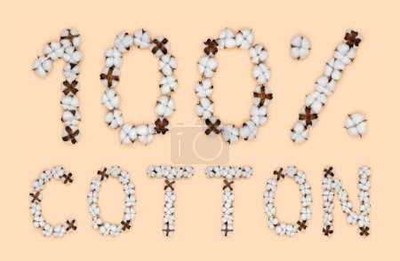 Foto de Lettering 100% algodón hecho de flores de algodón. Concepto de materia prima orgánica. - Imagen libre de derechos