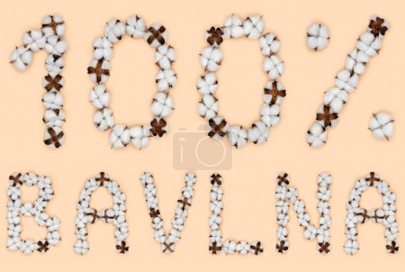 Foto de Letras 100% bavlna de eslovaco o checo significa algodón, hecho de flores de algodón. Concepto de materia prima orgánica. - Imagen libre de derechos