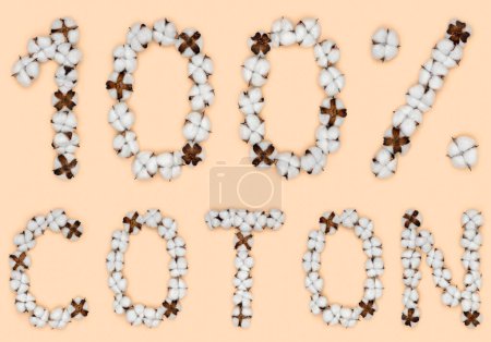 Foto de Lettering 100% coton from French language significa algodón, hecho de flores de algodón. Concepto de materia prima orgánica. - Imagen libre de derechos