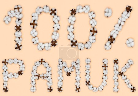 Foto de Letras 100% pamuk de lengua turca significa algodón, hecho de flores de algodón. Concepto de materia prima orgánica. - Imagen libre de derechos
