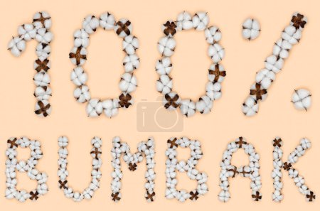 Foto de Letras 100% bumbac de lengua rumana significa algodón, hecho de flores de algodón. Concepto de materia prima orgánica. - Imagen libre de derechos
