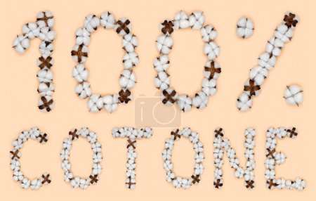 Foto de Lettering 100% cotone from Italian language significa algodón, hecho de flores de algodón. Concepto de materia prima orgánica. - Imagen libre de derechos