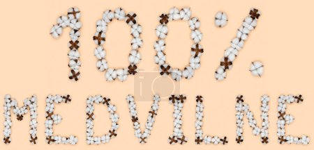 Foto de Lettering 100% medvilne from Lithuanian language significa algodón, hecho de flores de algodón. Concepto de materia prima orgánica. - Imagen libre de derechos