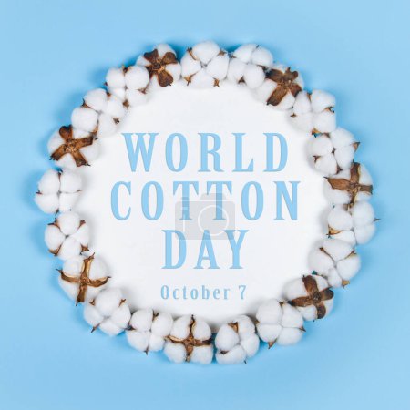 Día mundial del algodón observado el 7 de octubre. Póster con inscripción azul en marco redondo blanco de flores de algodón sobre fondo liso azul claro