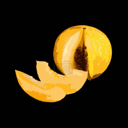 Téléchargez les illustrations : Melon jaune sur fond noir dessiné dans le style comme croquis pour la peinture à l'huile - en licence libre de droit