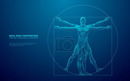 Téléchargez les illustrations : Digital Vitruvian Human. Da Vinci Anatomy Body est fait de points, de lignes et de triangles connectés. Illustration vectorielle polygonale abstraite sur fond bleu technologique. - en licence libre de droit