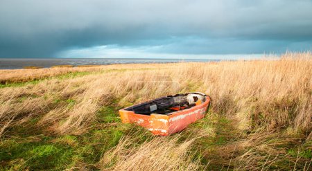 Photo for Old wooden boat in the reed next to the north sea on the Island Romo in Denmark, stormy weather in winter - Royalty Free Image
