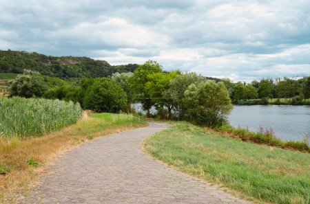 Téléchargez les photos : Paysage avec piste cyclable ou trottoir au bord de la Moselle à Trèves, rhénanie palatine en Allemagne, été dans la vallée - en image libre de droit