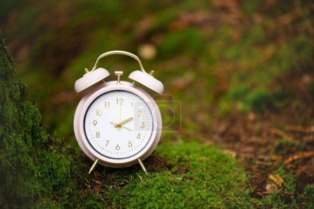 Foto de Reloj despertador en el bosque verde, cambio a horario de verano en primavera, cambio de horario de verano - Imagen libre de derechos