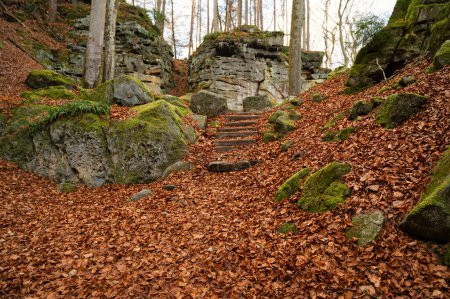 Téléchargez les photos : Gorge du diable à l'Eifel, Teufelsschlucht avec de puissants rochers et canyon, sentier de randonnée en Allemagne, formation de rochers de grès, automne - en image libre de droit