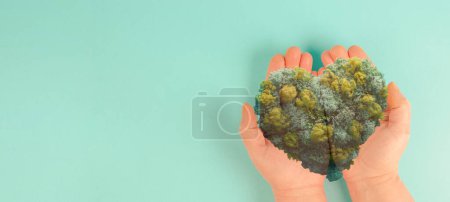 Photo for Trees and plants forming a heart, planet earth, green forest and woodland, environment concept, connect and protect nature, earth day - Royalty Free Image