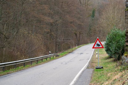 Toad crossing to spawning ground road sign, warning mating season of amphibian animal, wildlife in danger, migration in spring