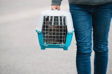 Conejo en una caja de transporte, mascota encerrada en una jaula, cuidando animales domésticos, vacaciones o cita en un médico veterinario