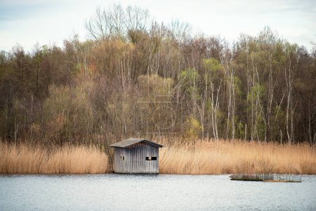 Biodiversität Haff Reimech, Feucht- und Naturschutzgebiet in Luxemburg, Teich umgeben von Schilf und Bäumen, Beobachtungspunkt für Vögel 