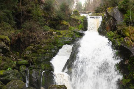 Triberger Wasserfall im Schwarzwald, höchster Wasserfall Deutschlands, Gutach stürzt über sieben große Stufen ins Tal, Holzbrücke 