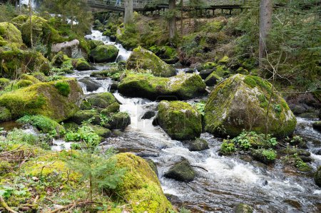 Cascada de Triberg en la Selva Negra, caída más alta en Alemania, río Gutach se sumerge más de siete pasos principales en el valle, puente de madera 